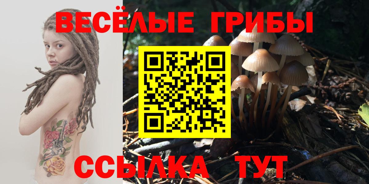 Галлюциногенные грибы прущие грибы Назрань