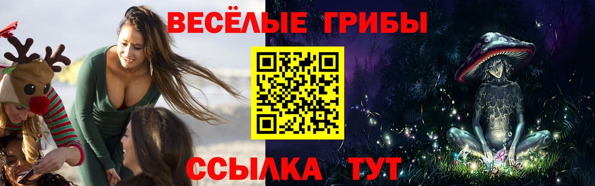 Назрань  Галлюциногенные грибы ЛСД  где продают   Вход с VPN 